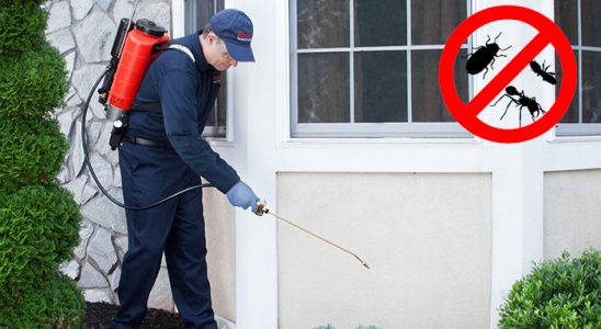 Yamanlar Gümüşkurt İlaçlama böcek ilaçlama ve haşere kontrolü — ilaclama-tr.com